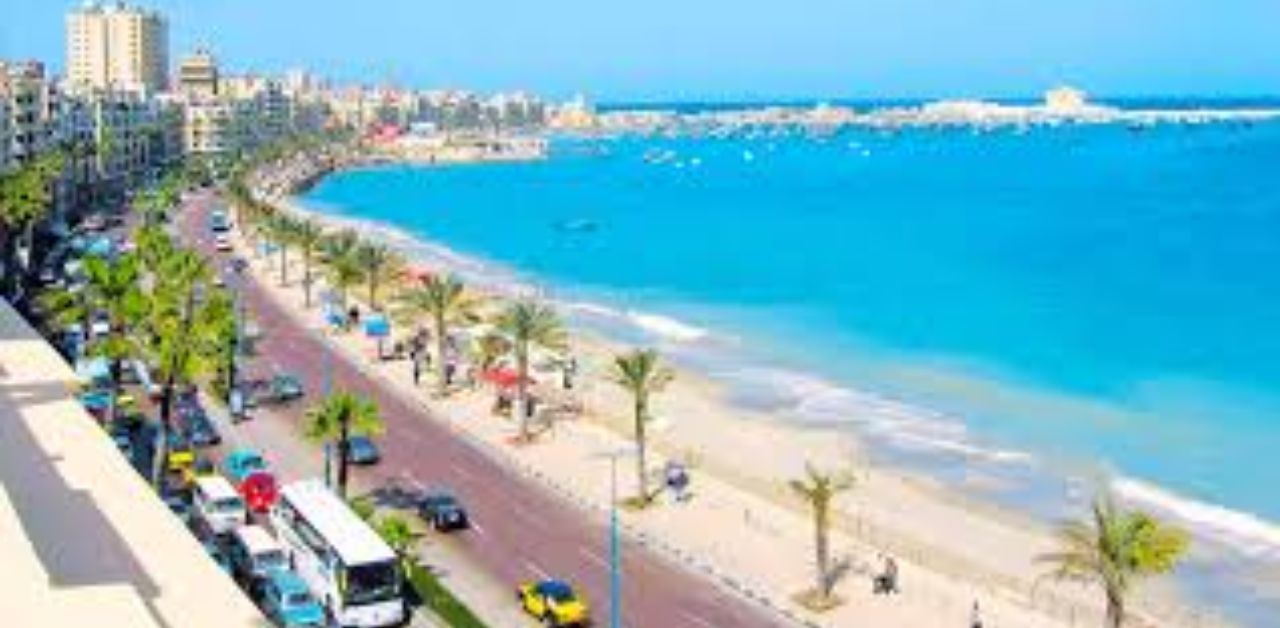 Turkish Airlines Alexandria Office in Egypt