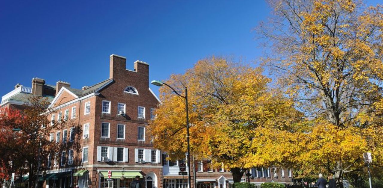 Princeton